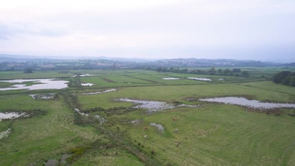 Wetlands Meadows Rspb Exminster Powderham Marshe Drone Exeter Devon England — Stock Video