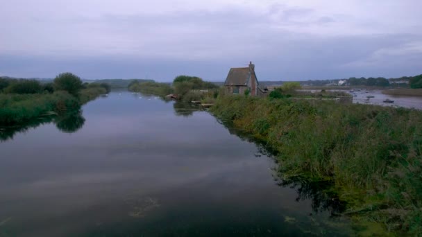 Landsted Mute Swans Floden Exe Fra Drone Topsham Exeter Devon – Stock-video
