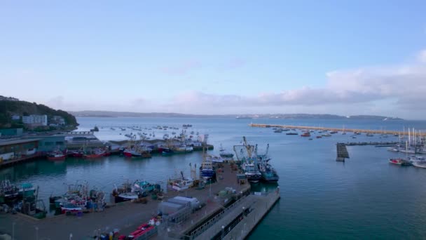 Brixham Marina Harbour Von Einer Drohne Aus Brixam Devon England — Stockvideo