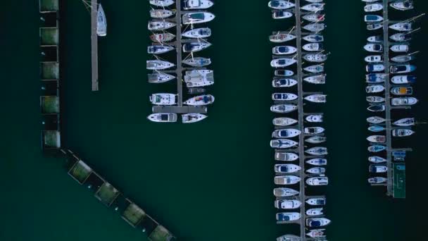 Brixham Marina Och Harbour Från Drönare Brixam Devon England Europa — Stockvideo