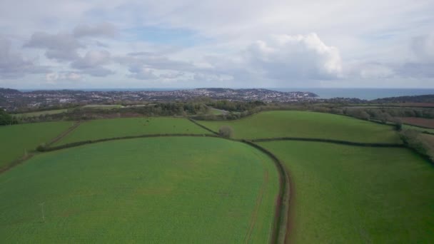 Tehenek Bikák Mezők Egy Drónról Torquay Devon England Europe — Stock videók
