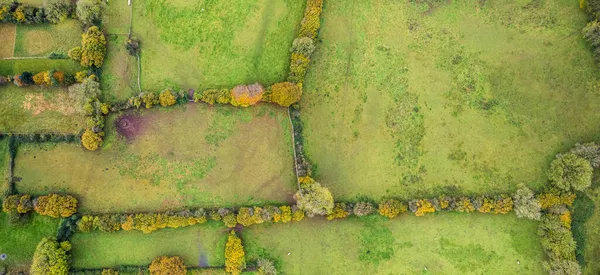 Pohled Podzimní Barvy Nad Poli Somersetu Dronu Anglie Evropa — Stock fotografie