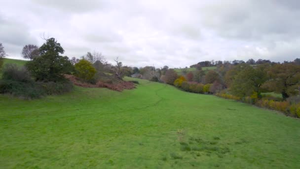Rumah Dan Taman Ugbrooke Dari Drone Warna Musim Gugur Exeter — Stok Video