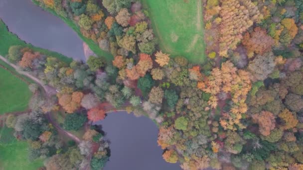 Autumn Colors Exeter Devon Ngiltere Avrupa Daki Dan Ugbrooke House — Stok video