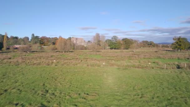 Panorama Över Powderham Slott Och Park Från Drönare Höstfärger Exeter — Stockvideo