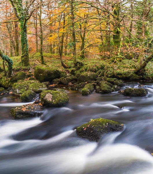 Jesienne Kolory Nad Rzeką Dartem Długiej Ekspozycji Dartmoor Park Devon — Zdjęcie stockowe