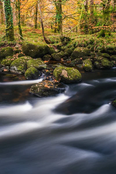 Jesienne Kolory Nad Rzeką Dartem Długiej Ekspozycji Dartmoor Park Devon — Zdjęcie stockowe