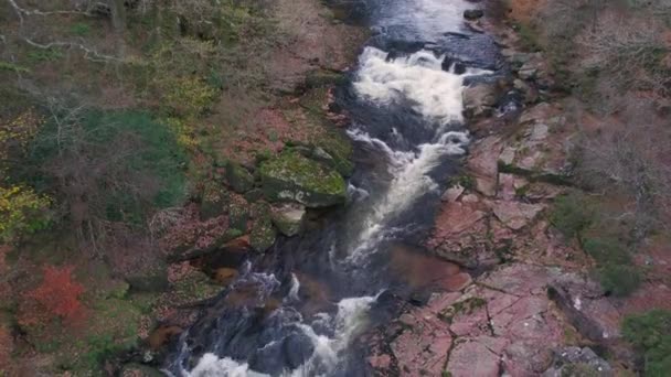 Colori Autunnali Sul Fiume Dart Drone Dartmoor Park Devon Inghilterra — Video Stock