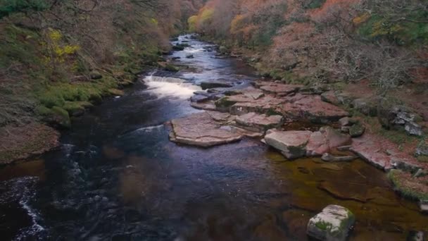 Jesienne Kolory Nad Rzeką Dartem Drona Dartmoor Park Devon Anglia — Wideo stockowe