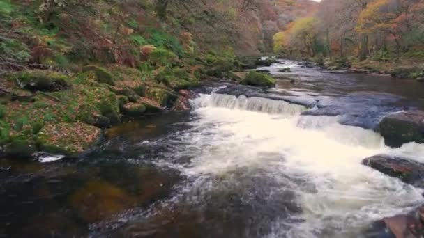 Jesienne Kolory Nad Rzeką Dartem Drona Dartmoor Park Devon Anglia — Wideo stockowe