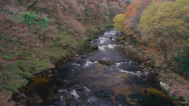 Autumn Colours River Dart Drone Dartmoor Park Devon England Europe — Stok Video