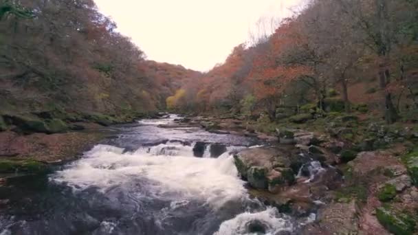 Jesienne Kolory Nad Rzeką Dartem Drona Dartmoor Park Devon Anglia — Wideo stockowe