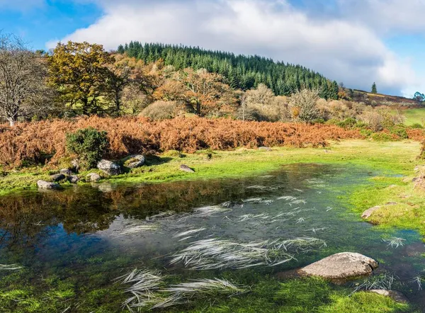 Frozen Grass Autumn Colours River Dart Long Exposure Dartmoor Park — Stock Photo, Image