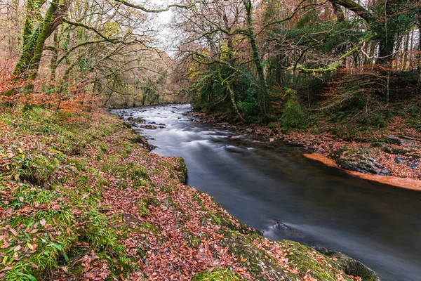 Jesienne Kolory Nad Rzeką Dartem Drona Dartmoor Park Devon Anglia — Zdjęcie stockowe