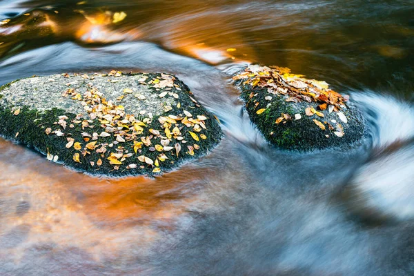 Янтарная Река Золотая Река Река Дарт Автумн Кюрсе Дартмур Парк — стоковое фото