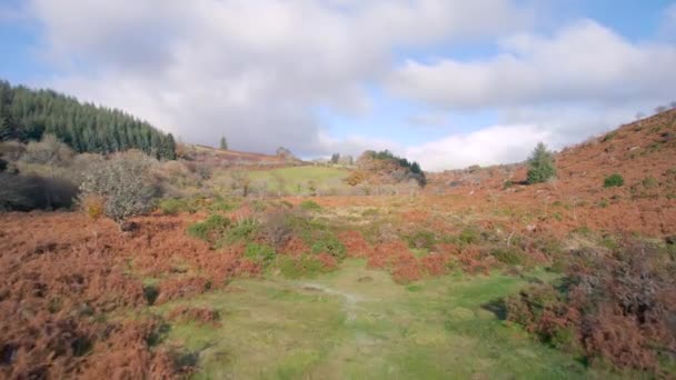 Podzimní Barvy Nad Parkovištěm Dartmeet Dartmoor Park Devon Anglie — Stock video