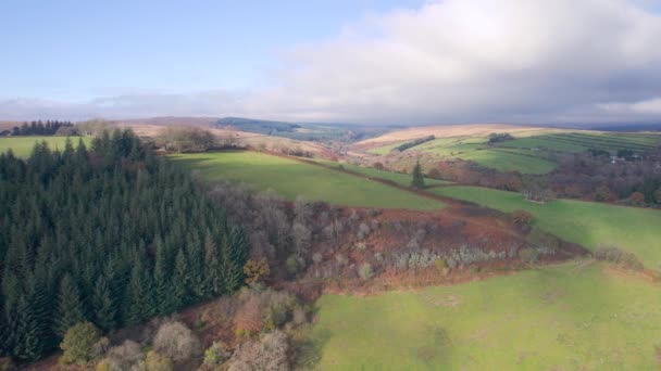 Podzimní Barvy Nad Parkovištěm Dartmeet Dartmoor Park Devon Anglie — Stock video