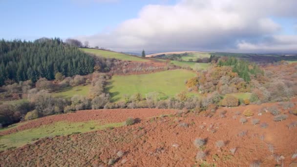 Podzimní Barvy Nad Parkovištěm Dartmeet Dartmoor Park Devon Anglie — Stock video