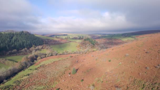 Höstfärger Över Dartmeet Parkering Dartmoor Park Devon England — Stockvideo