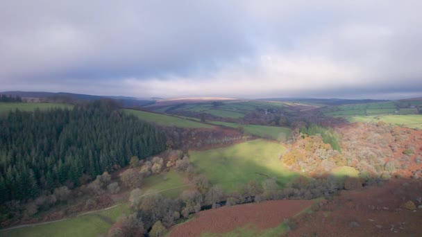 Podzimní Barvy Nad Parkovištěm Dartmeet Dartmoor Park Devon Anglie — Stock video