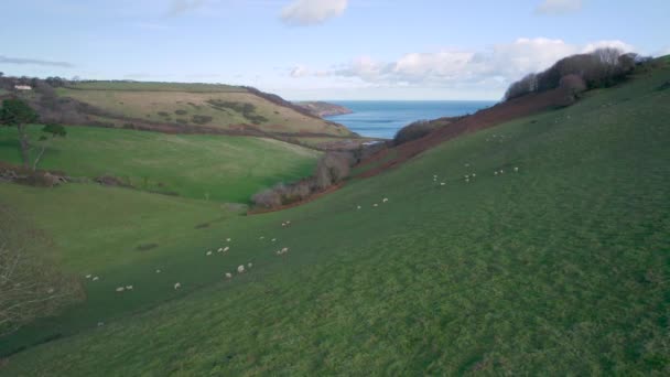 Ziemia Uprawna Nad Man Sands Kingwear Devon Anglia — Wideo stockowe