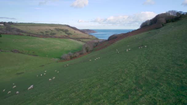 Jordbruksmark Över Man Sands Kingswear Devon England — Stockvideo