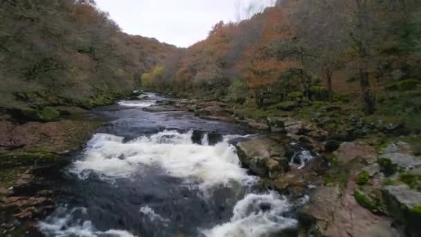 高山河 达特河 达特莫尔公园 英格兰德文郡 欧洲上空的秋天色彩 — 图库视频影像
