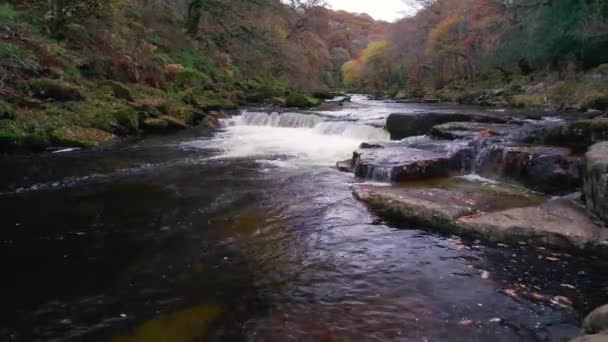 Kolory Jesieni Nad Górską Rzeką Dartmoor Park Devon Anglia Europa — Wideo stockowe