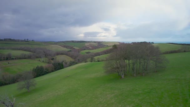 Farmlands Meadows Kingswear Brixham Devon Engeland — Stockvideo