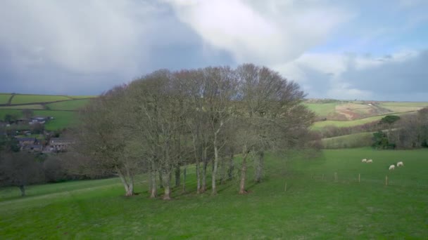 Αγροκτήματα Και Λιβάδια Kingswear Brixham Devon Αγγλία — Αρχείο Βίντεο