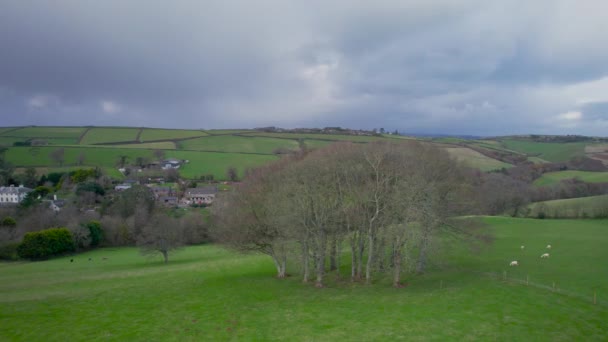 Jordbruksmark Och Ängar Kingswear Brixham Devon England — Stockvideo