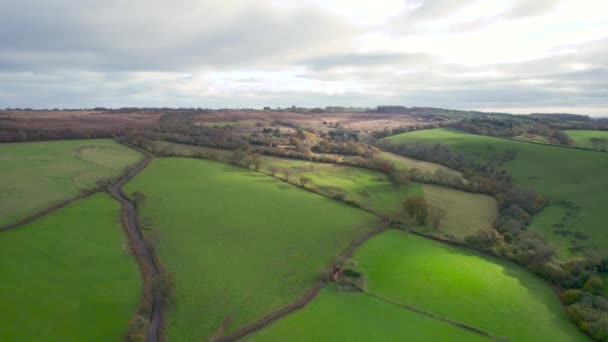 English Village Farmlands Meadows Drone Devon Inglaterra — Vídeo de stock