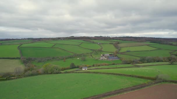 Farmlands Meadows Devon Angleterre — Video