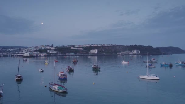 無人機 トーベイ デヴォン イングランドからのBrixham Marina Harbourのパノラマ — ストック動画