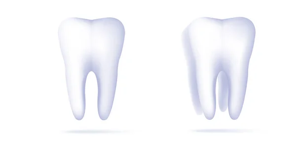Tooth, 3D render ikon diatur, tampilan depan dan dalam perspektif dengan akar yang sehat - Stok Vektor