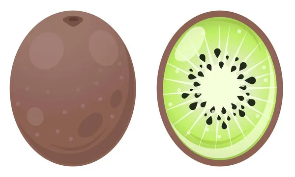 Taze Kivi Fruit Dilimlenmiş Kivi Kiwi Fruit Illustration Bir Tam — Stok Vektör
