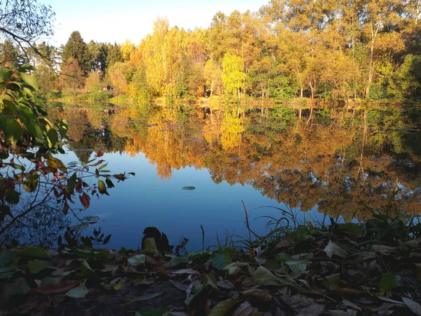 Golden Autumn Forest Lake View Inglês Outono Floresta Lago Cena — Fotografia de Stock