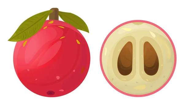 Camu Camu Fruit Superfood Illustration Rote Camu Beerenfrucht Cartoon Stil — Stockvektor