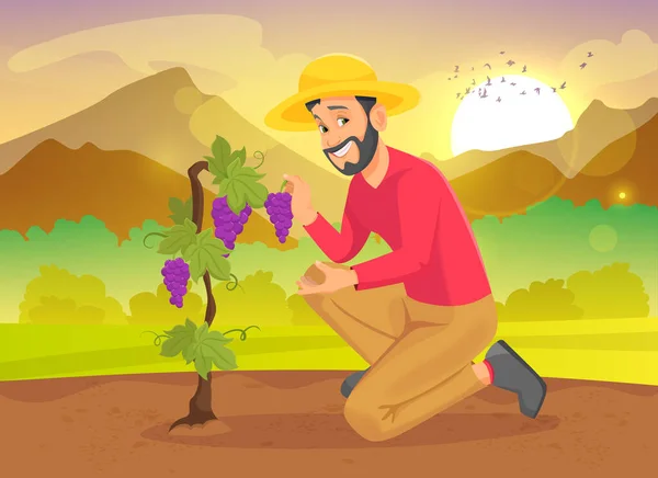 Fermier Tenant Des Raisins Dans Jardin Sur Fond Nature Homme — Image vectorielle