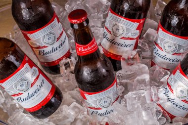 Rio de Janeiro, RJ, Brezilya. 07.01.2022 Budweiser birası.