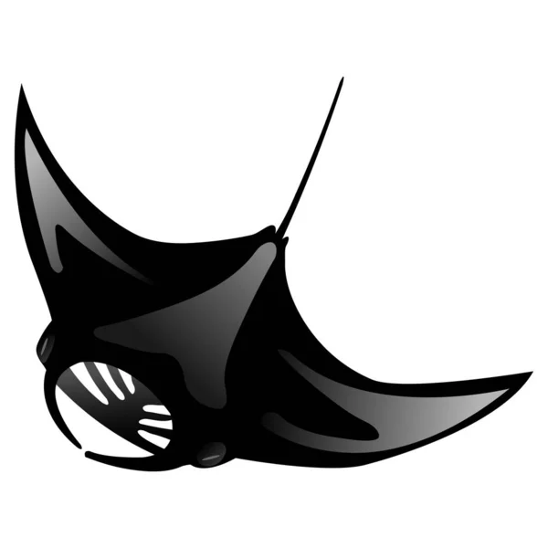 Black Manta Ray Isolated White Background Swimming Posture — Vetor de Stock