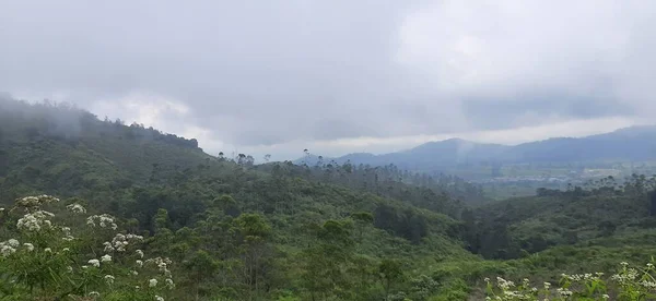 Paisaje Con Niebla Niebla Las Montañas Indonesia — Foto de Stock