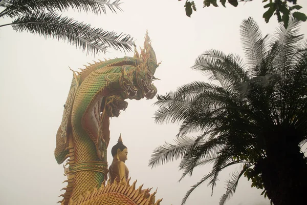 Eine Große Goldene Sitzende Buddha Statue Freien Geschützt Von Einer — Stockfoto