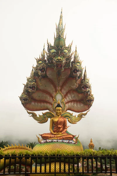 Una Grande Statua Buddha Seduta Dorata All Aperto Riparata Naga — Foto Stock