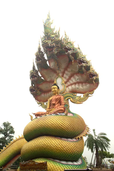 Large Golden Seated Buddha Statue Outdoors Sheltered Headed Naga Temple — Stock Photo, Image