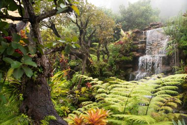 Şelale, parkı süslemek ve güzelleştirmek için yapıldı..