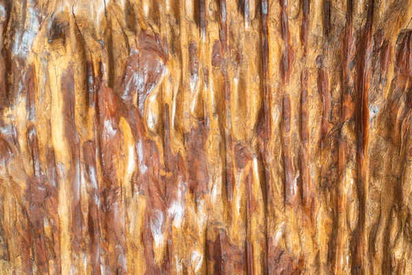 Sculpture Bark Tree Texture Bark Seamless Tree Bark Background Brown — Stock Photo, Image