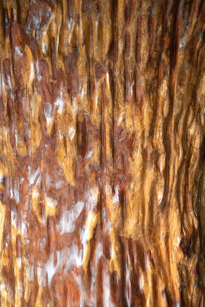 Egy Fakéreg Szobra Kéreg Textúrája Varrat Nélküli Kéreg Háttér Barna — Stock Fotó