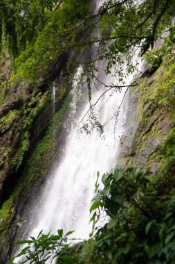 Khlong Lan Şelalesi güzel ve ünlü bir şelaledir. Ulusal parklarda ve Tayland yağmur ormanlarında. 