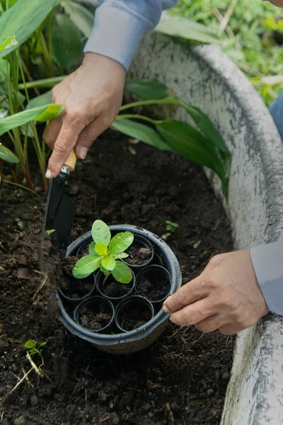 Close Man Hand Planting Plant Outdoor Black Clay Pot — 图库照片